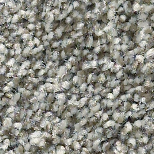 Textured-Carpet | Haight Carpet & Interiors