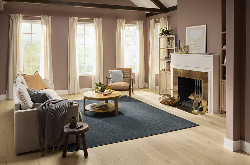 Comfortable floor in your large living room | Haight Carpet & Interiors