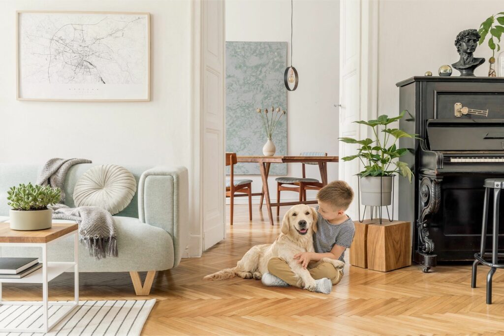 child sitting with golden retriever on light hardwood flooring in bright living room with modern furniture and open concept layout